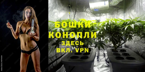 mdpv Арсеньев