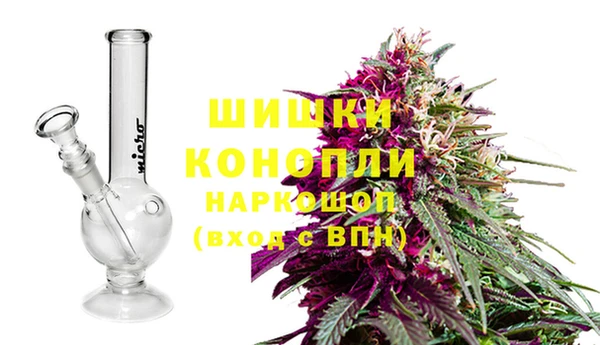 apvp Аркадак