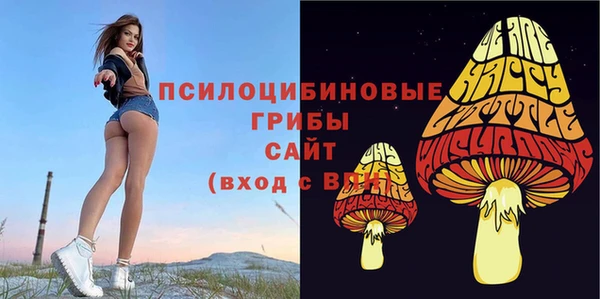 apvp Аркадак