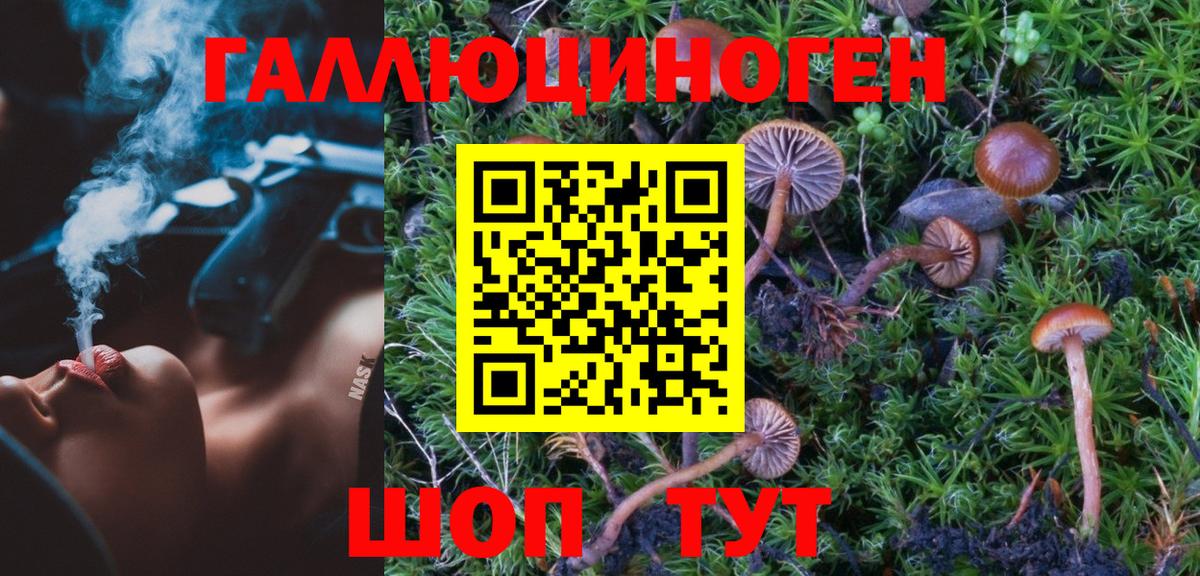 Псилоцибиновые грибы Cubensis Изобильный