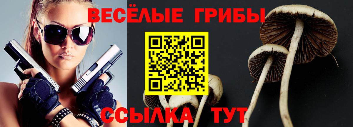 Галлюциногенные грибы Psilocybe  Вход с VPN  Изобильный 
