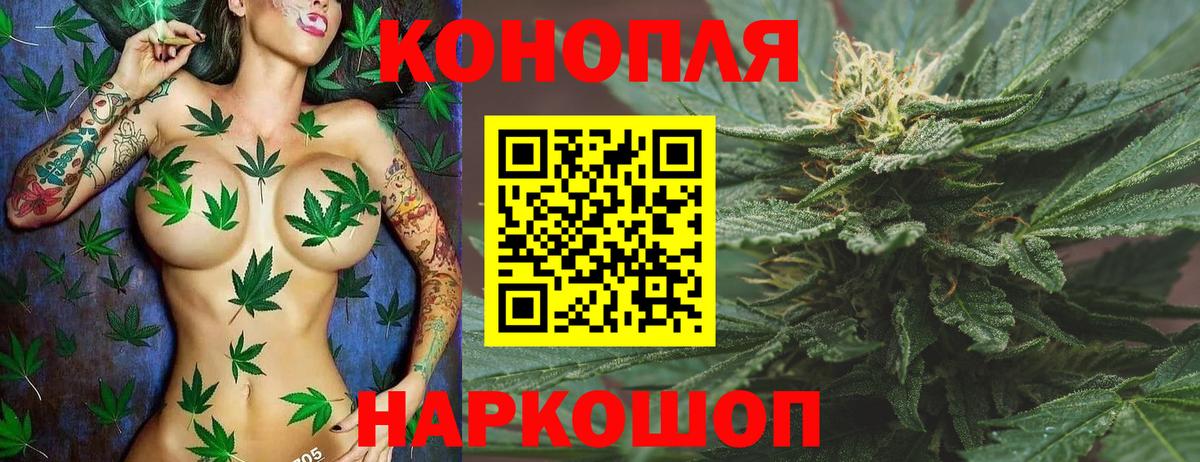 МАРИХУАНА гибрид  Марихуана марихуана  Каннабис план  Изобильный  Вход с VPN 